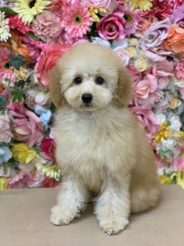 写真 2021-11-16 15 58 35 (1)