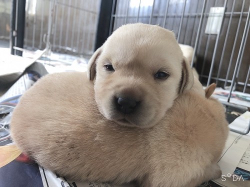 写真 2021-10-03 14 01 26