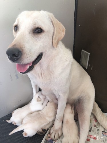 写真 2021-10-03 14 01 30