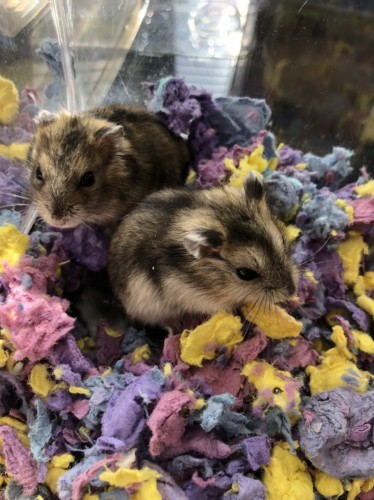 写真 2021-10-19 14 37 50