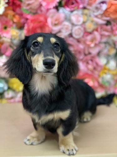 写真 2022-02-24 15 36 06 (6)