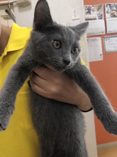 写真 2021-10-25 13 02 35