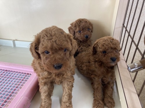 写真 2021-10-13 11 45 26