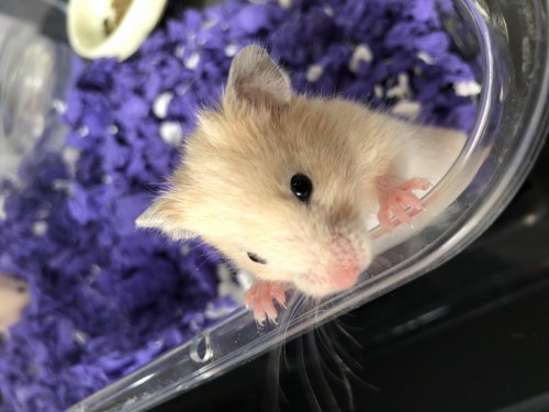 写真 2021-10-19 14 32 23