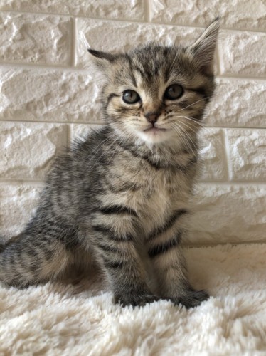 写真 2021-11-03 14 13 02 (2)