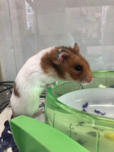 写真 2021-11-27 10 23 13