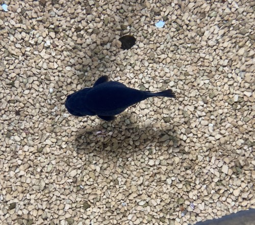 写真 2021-11-07 14 14 15 (1)