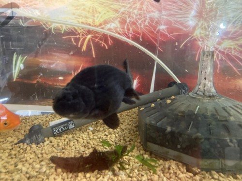 写真 2021-11-07 14 14 31