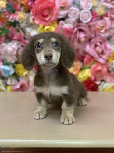 写真 2021-11-16 15 59 26 (1)