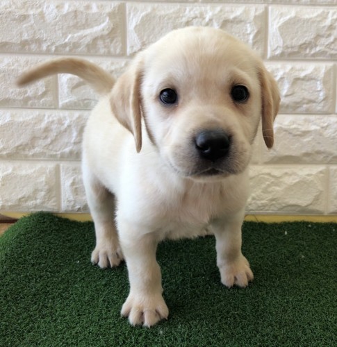 写真 2021-10-24 17 00 12