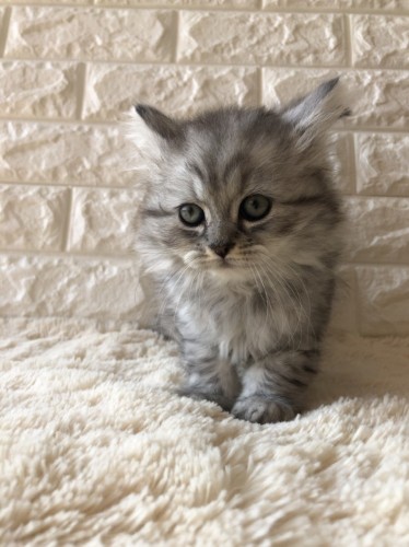 写真 2021-11-04 12 53 58