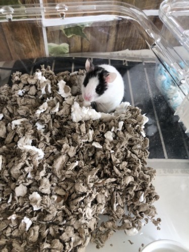 写真 2021-11-27 10 31 24 (2)