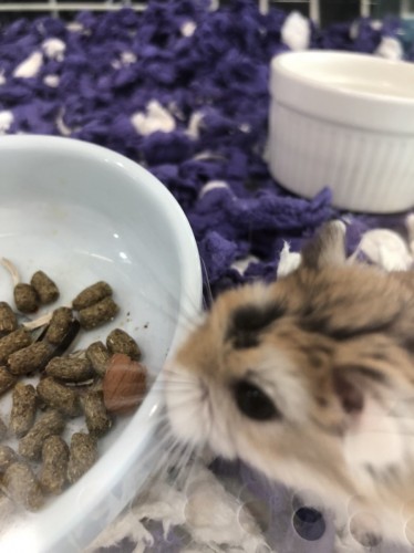 写真 2021-11-27 10 31 24