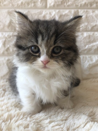 写真 2021-11-03 14 13 02