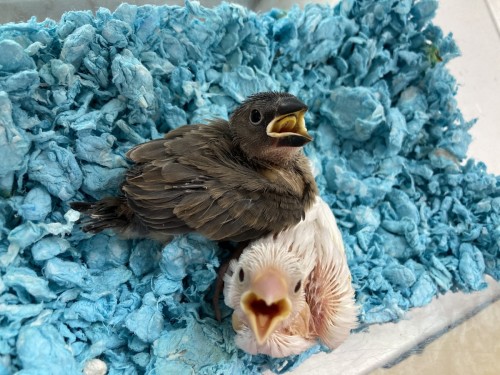 写真 2021-11-16 12 59 32