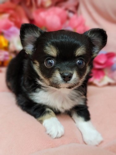 写真 2021-11-25 12 49 58 (7)