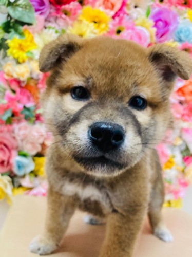 11D1EDDF-275A-4192-816C-C057899508BB