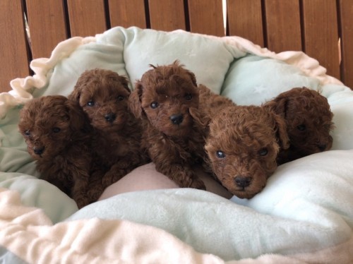 写真 2021-12-20 15 37 25 (1)