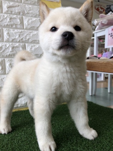 写真 2021-12-01 12 13 39 (4)