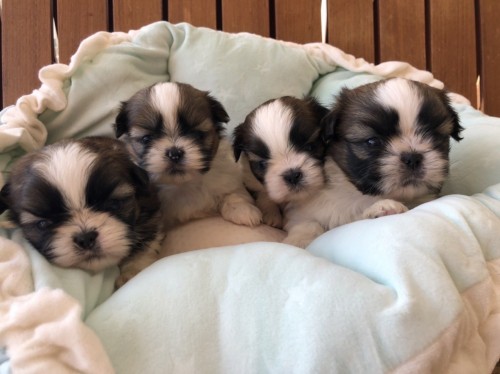 写真 2021-12-20 15 37 25