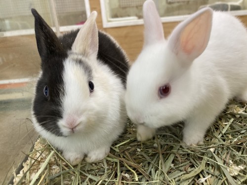 写真 2021-12-16 12 58 07