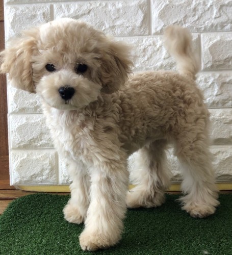 写真 2021-11-24 13 38 47