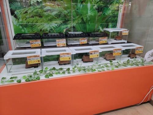 写真 2021-12-04 17 04 28