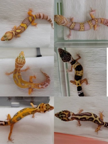 写真 2021-12-04 17 10 52