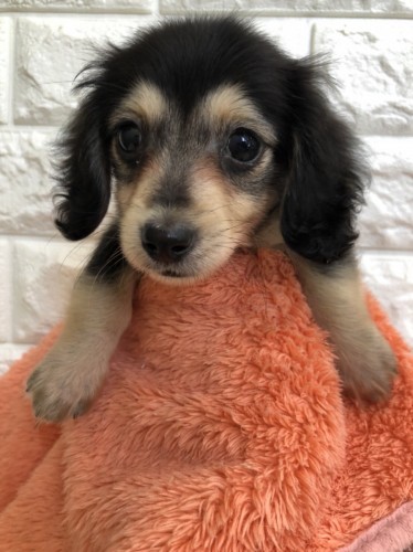 写真 2021-12-09 10 54 22 (1)