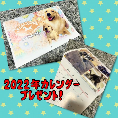 C36CA0D8-CB06-4EA6-B334-E341BAA61F5D