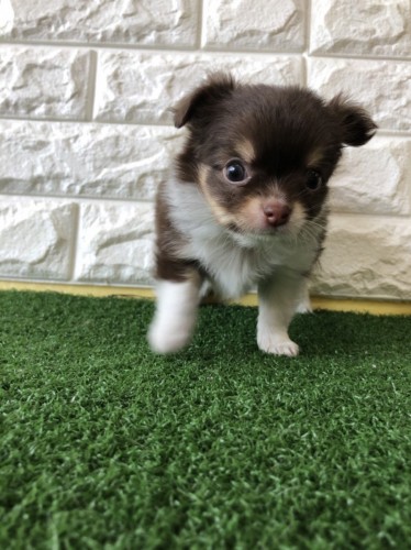 写真 2021-12-01 12 13 59