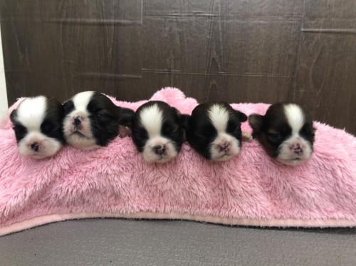 写真 2021-11-30 12 15 59 (1)