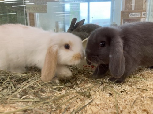 写真 2021-12-16 12 55 24