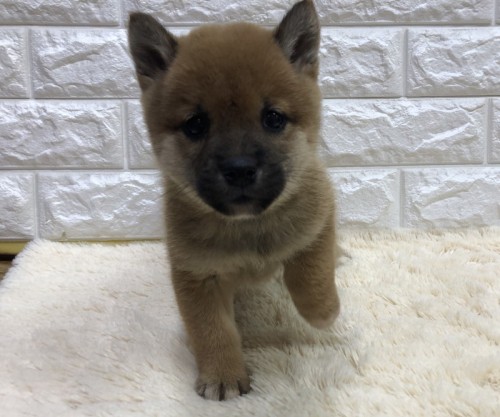 写真 2021-12-21 18 01 49 (3)