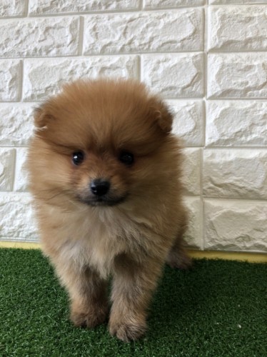 写真 2021-12-01 12 13 39