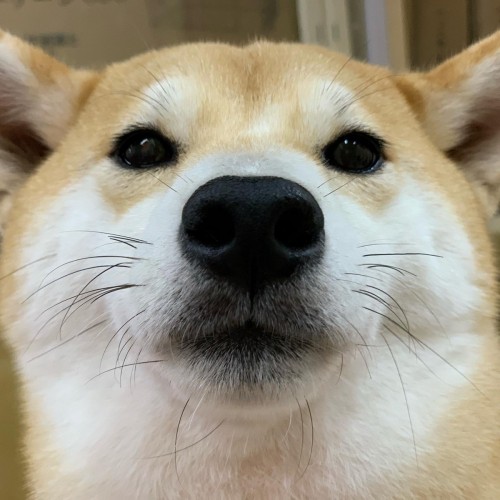 08A3C5EB-A894-44AD-BE69-2BC89E7821B1