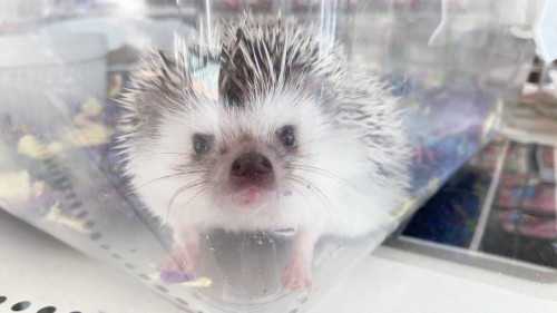 写真 2022-01-17 12 19 54