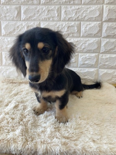 写真 2022-01-19 14 31 58