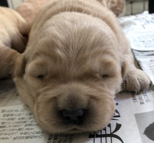 写真 2022-01-10 11 00 21