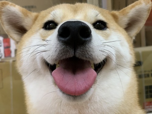 994E9BF1-1960-446A-95E8-5909F75553F5