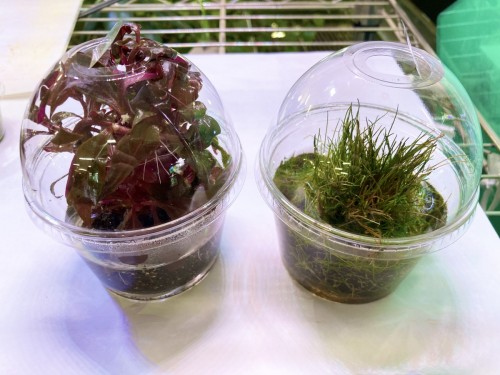 写真 2022-01-09 12 49 02