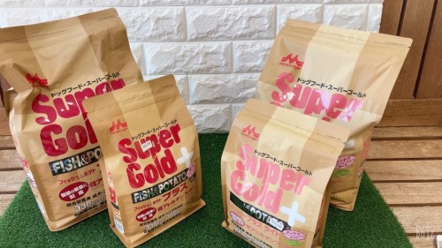 写真 2022-01-26 16 27 42