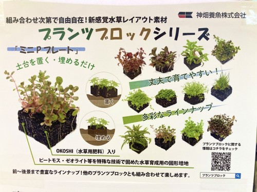 写真 2022-01-09 12 49 12