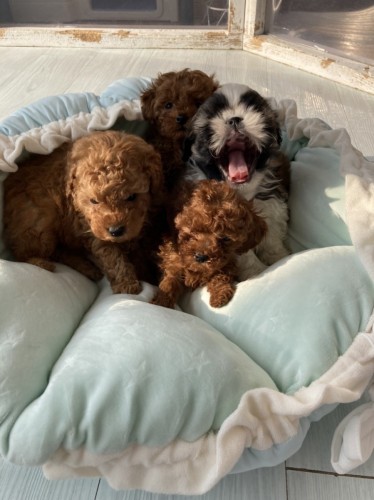 写真 2022-01-03 14 53 46