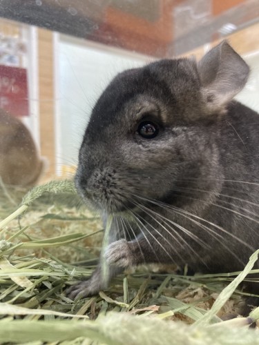 写真 2022-02-20 10 12 33