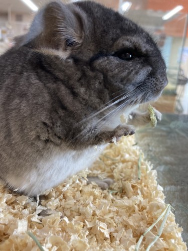 写真 2022-02-20 10 19 16