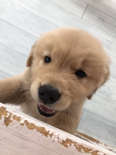 2022-02-13 12.01.00-1