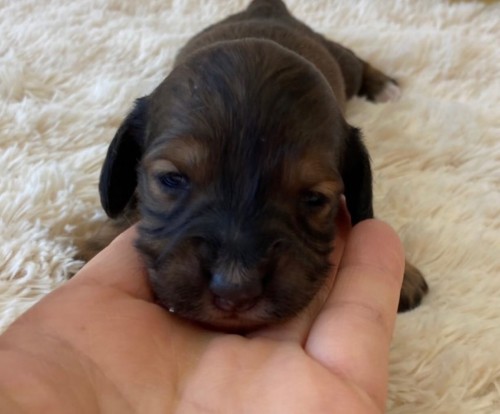 2022-02-26 16.26.35-1