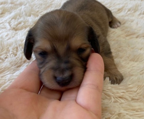 2022-02-26 16.26.35-2