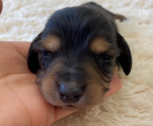 2022-02-26 16.26.35-3